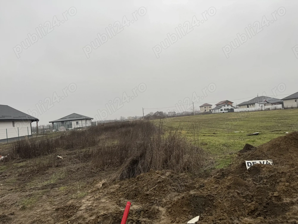 Teren de vânzare comuna 1 decembrie 