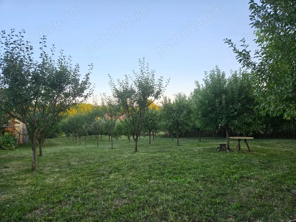 Vand teren intravilan, 950mp în sat Topîrcea jud. Sibiu