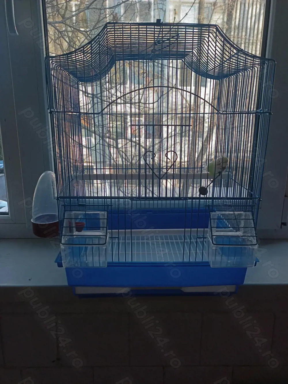 Colivie pentru păsări mici 