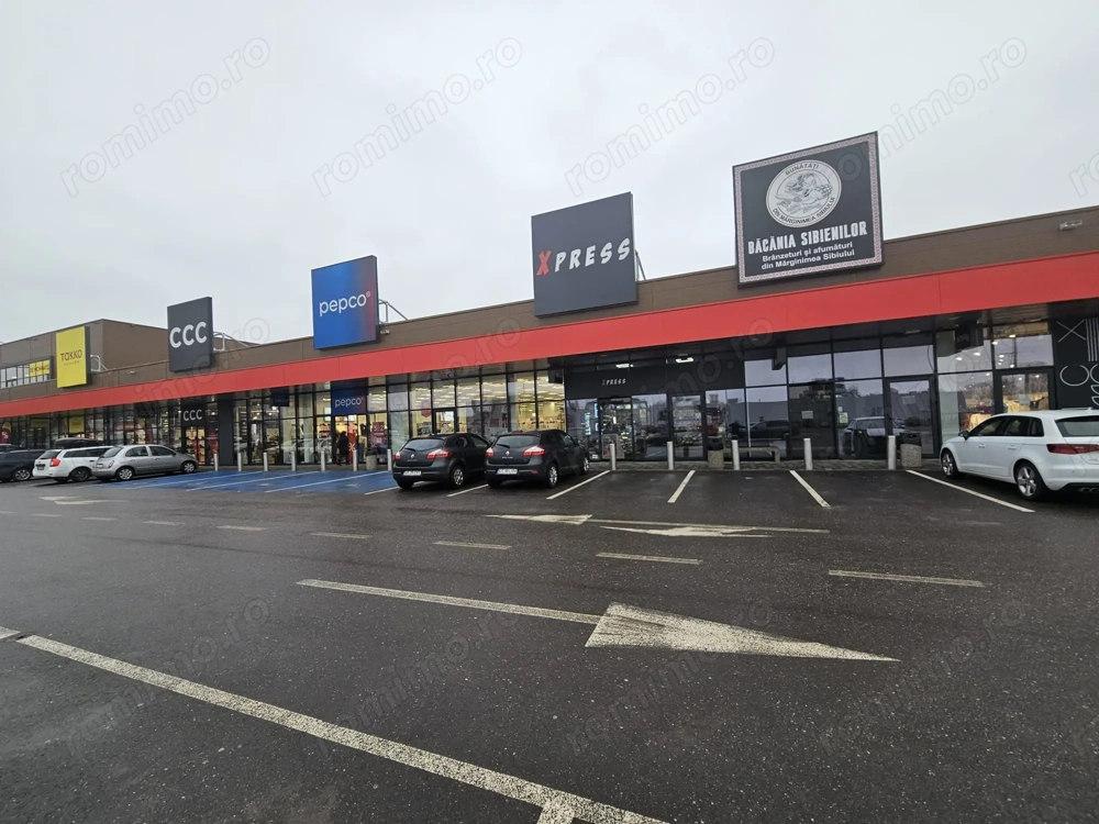 Spațiu comercial Kaufland – Shopping Park, Bd. Nicolae Bălcescu