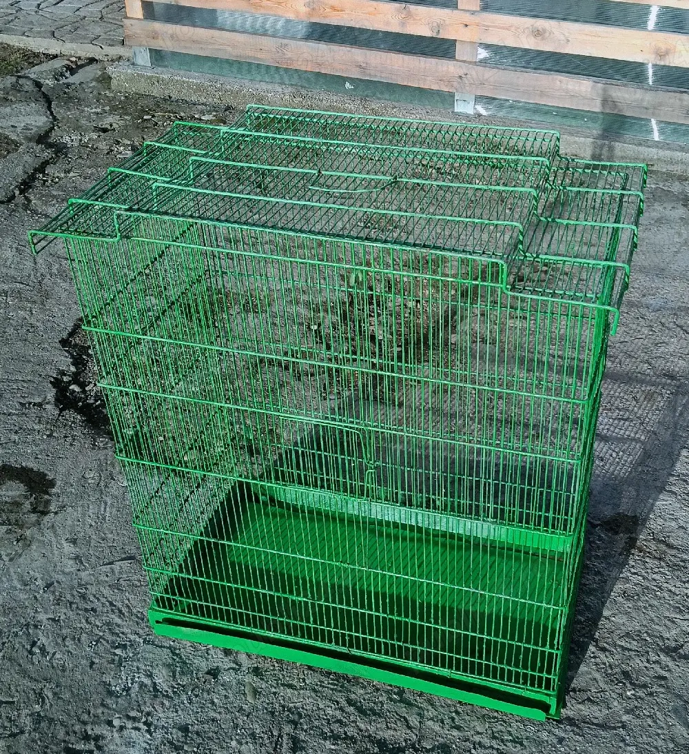 colivie pentru papagali 