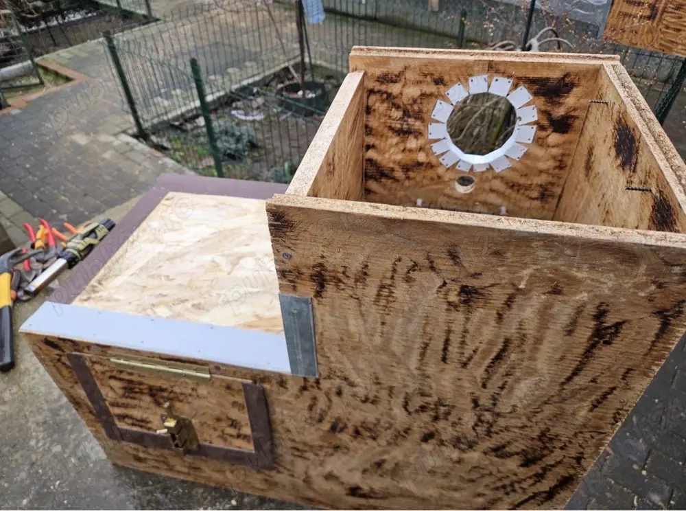 execut cuiburi de papagali