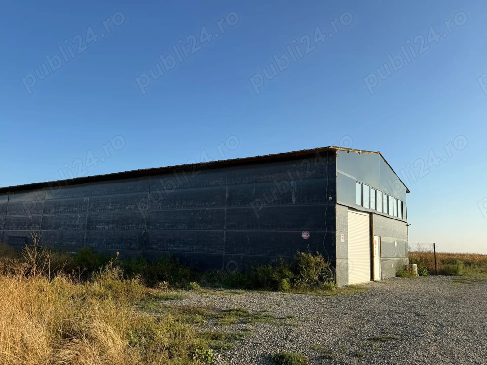 Hală 500 mp + Teren 4.000 mp   Crevedia  