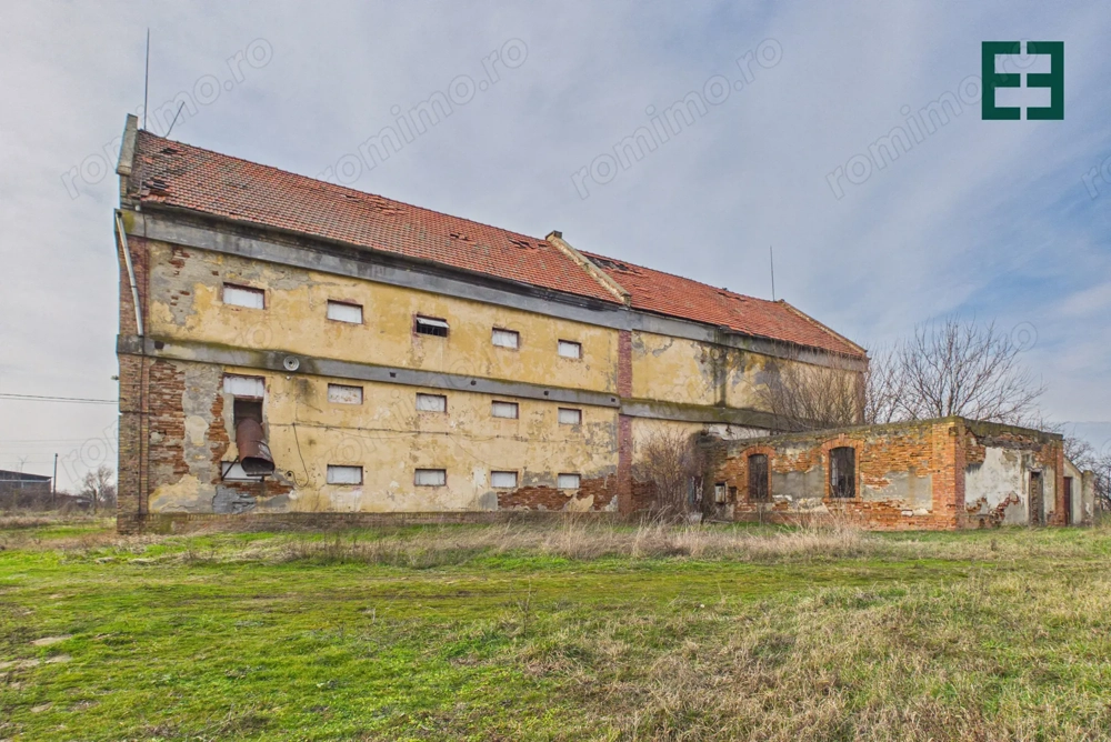 Teren de 8.632 mp + Proprietate Industrială - Voiteg - Județul Timiș