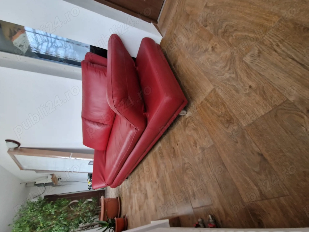 Canapea piele naturală