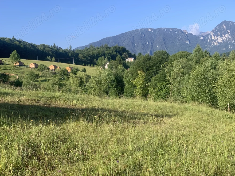 Vand Teren - Poiana Marului, Brasov
