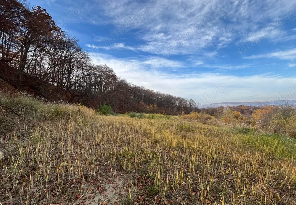 Teren vanzare Feleac