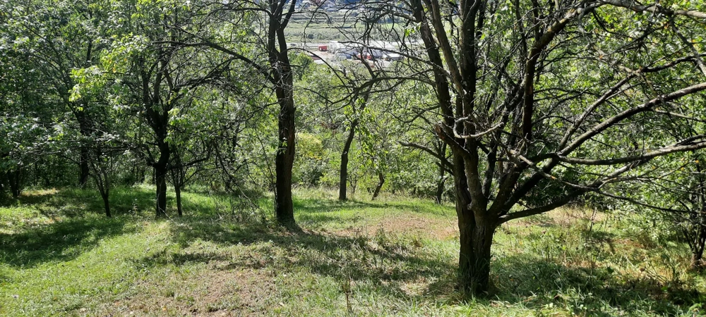 Vând teren intravilan Breaza (Podu Corbului)