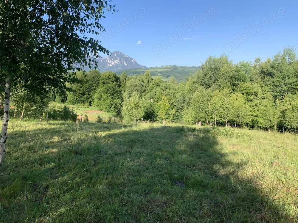 Vand Teren - Poiana Marului, Brasov