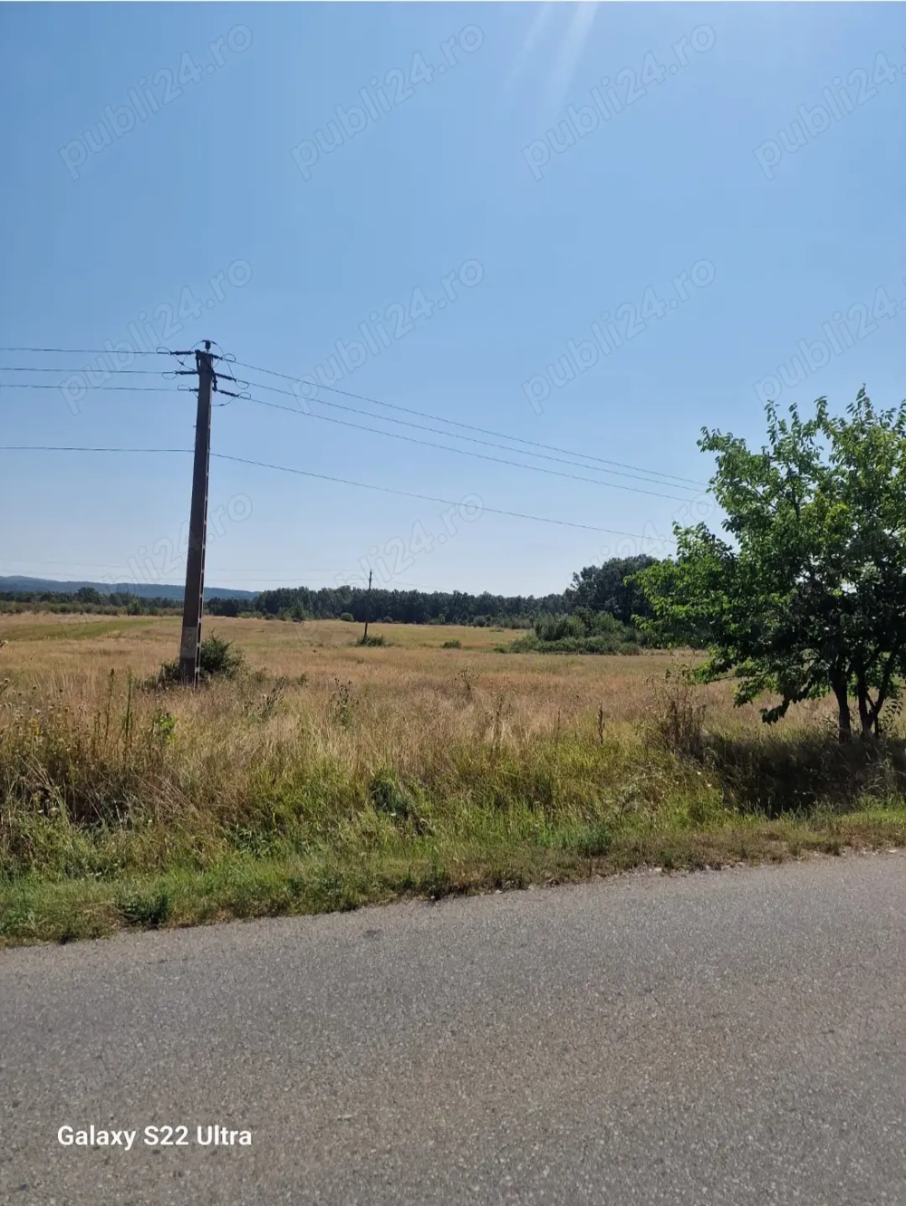 Teren în Târgu-Carbunești - 12500 mp