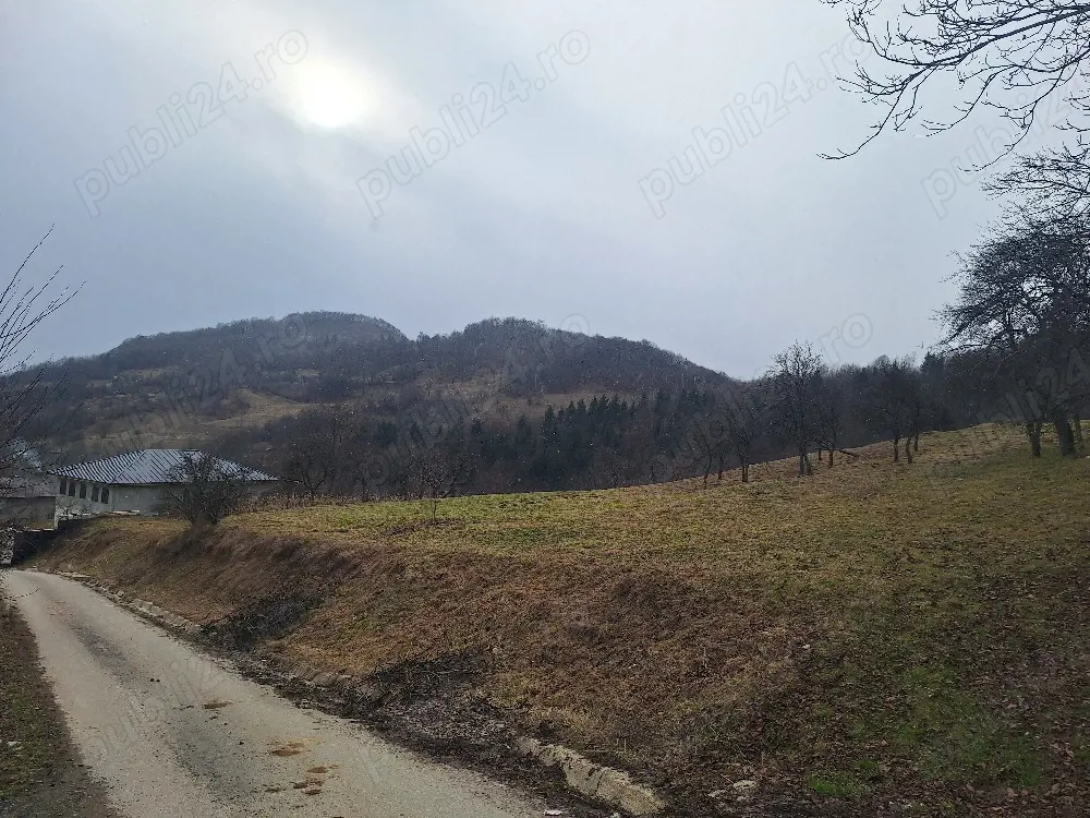 Vând teren intravilan,42.75ari,4275m2,Pret:1475Euro Arie