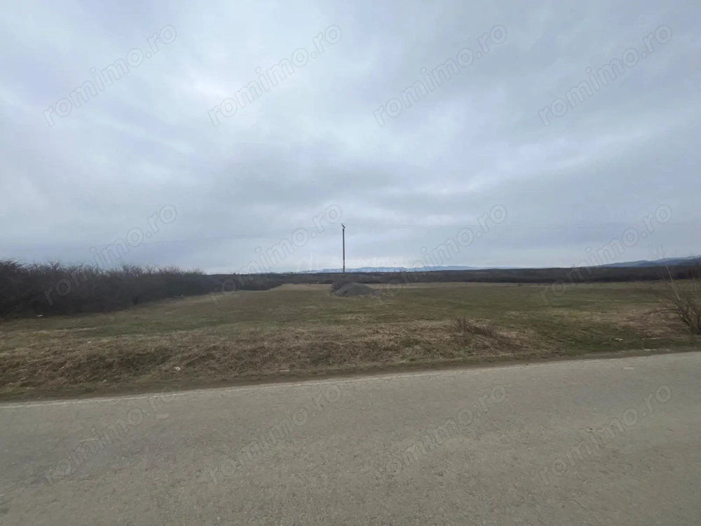 Caransebes, Teren Extravilan, Zlagnei