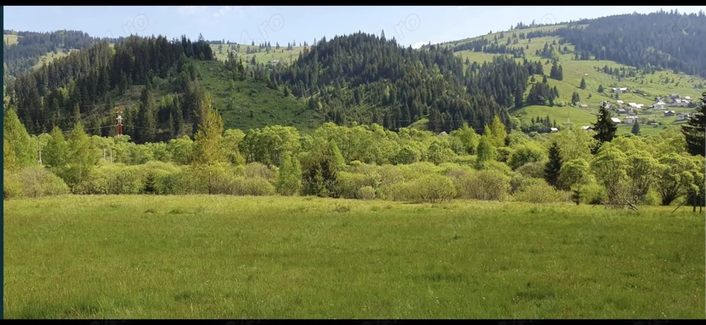 Vând teren Vatra Dornei