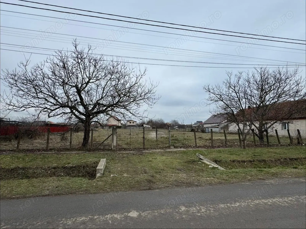 Teren Intravilan Becicherecu Mic 3104mp,F.S 38ml,Utilitati,Asfalt