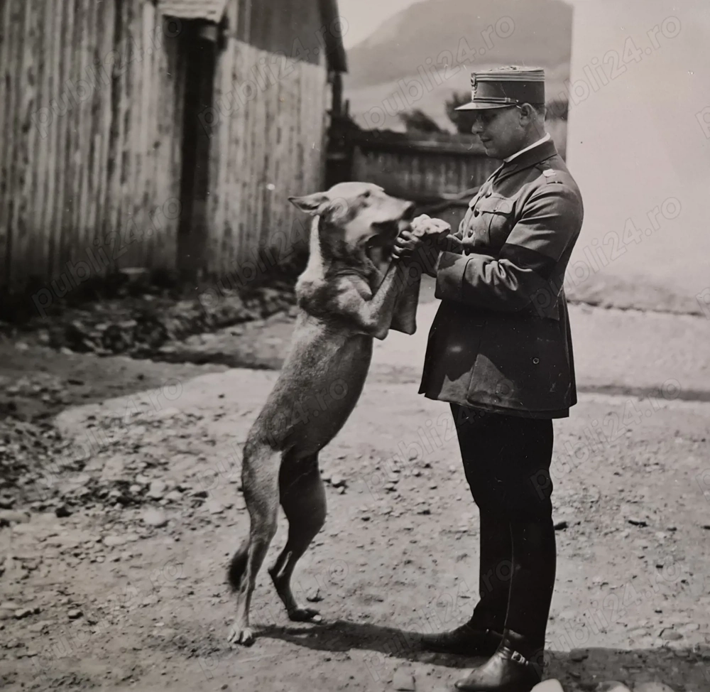 2 fotografii   cărți poștale WWI, România