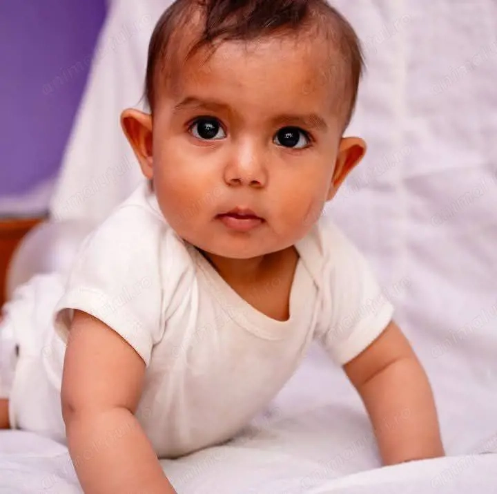 Caut câine de talie mică pentru copii!