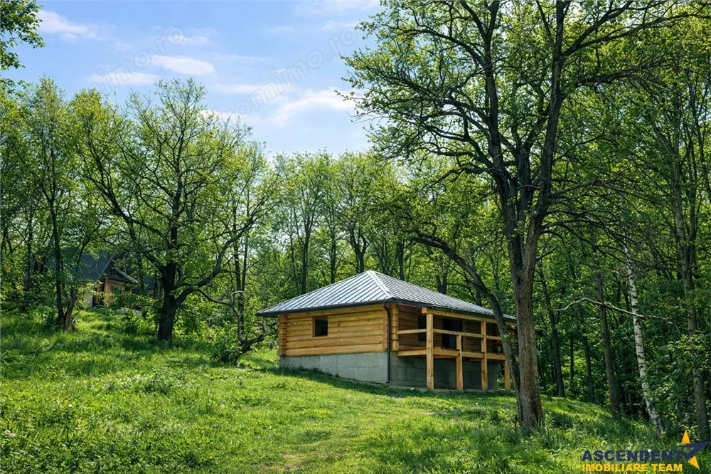 3.000mp de incantare montana cu cabana din lemn masiv, Zarnesti Tohanita
