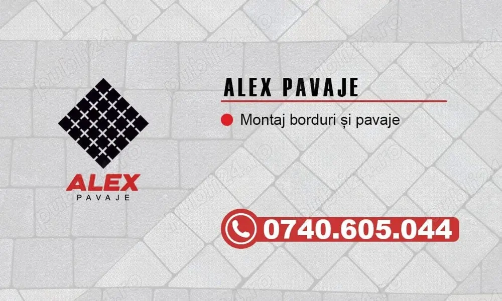 pavaj si construtii civice