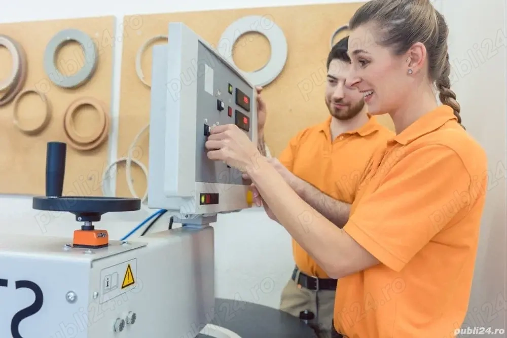 Manpower angajeaza Montatori subansamble in 2 schimburi - SIBIU