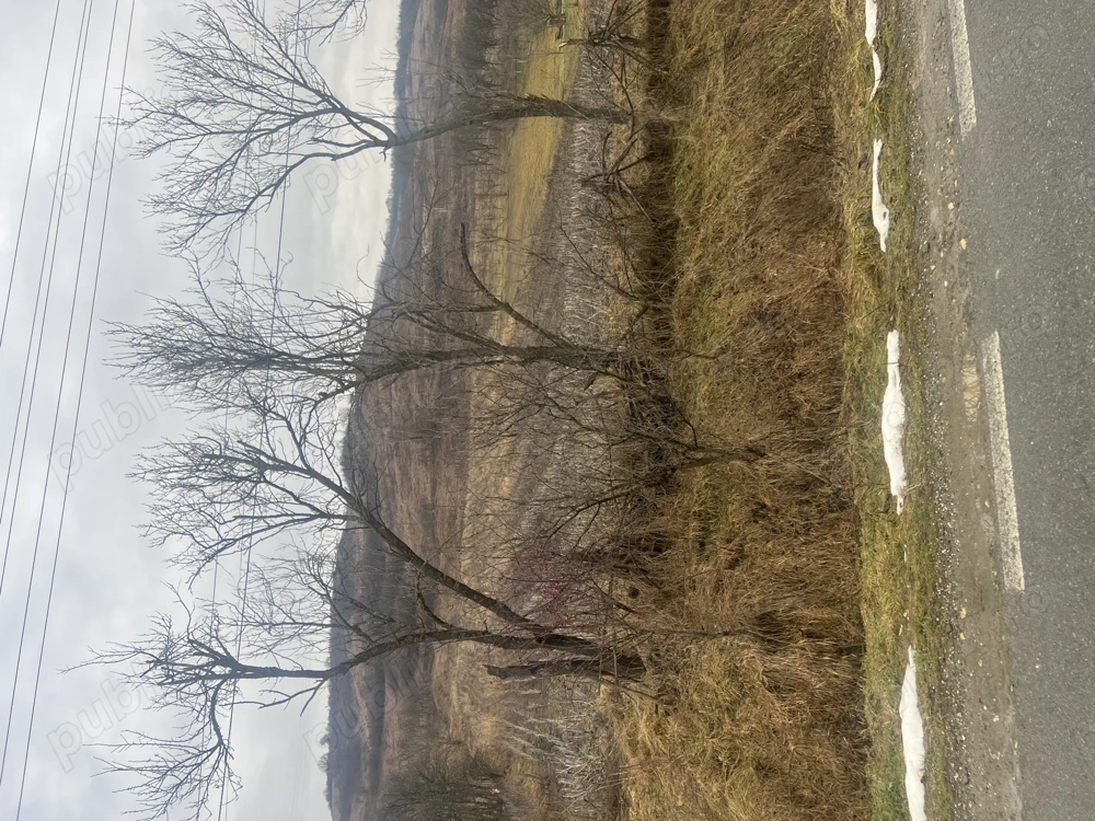 Vând teren intravilan