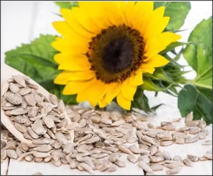 1 litru ulei floarea soarelui  oferta 6litri = 180lei