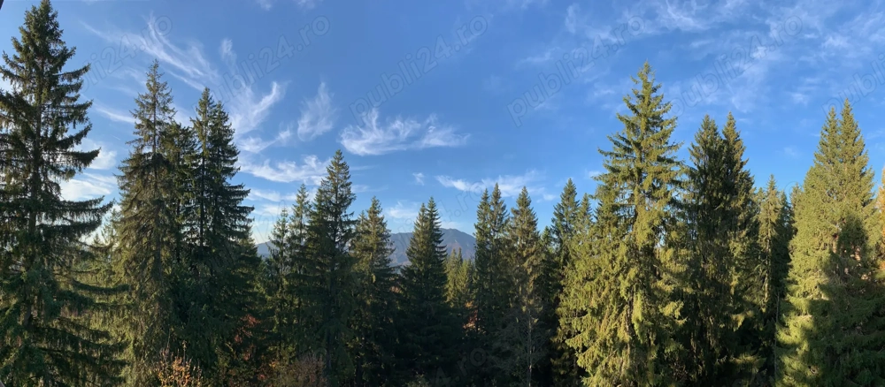 Apartament de vanzare, 2 camere, Predeal, zona Belverede