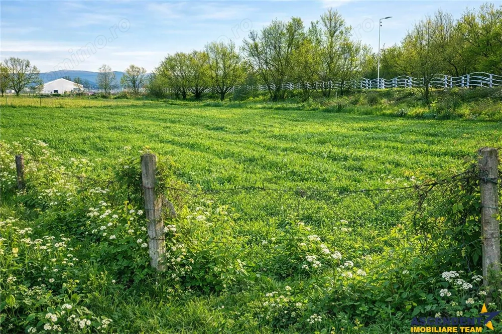 Teren extravilan 1450 mp, din care curti constructii 312 mp, Sfantu Gheorghe