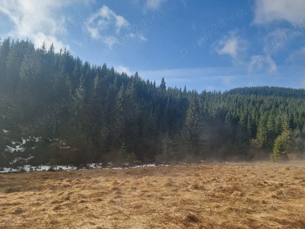 vând teren la Poiana Horea 