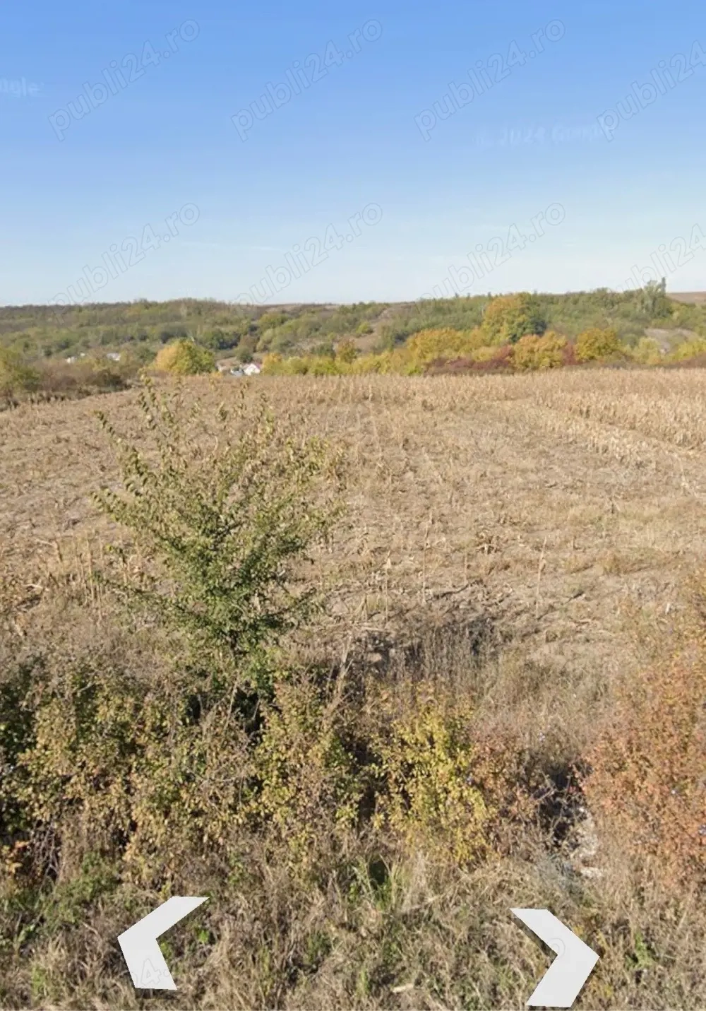 Vând teren extravilan 