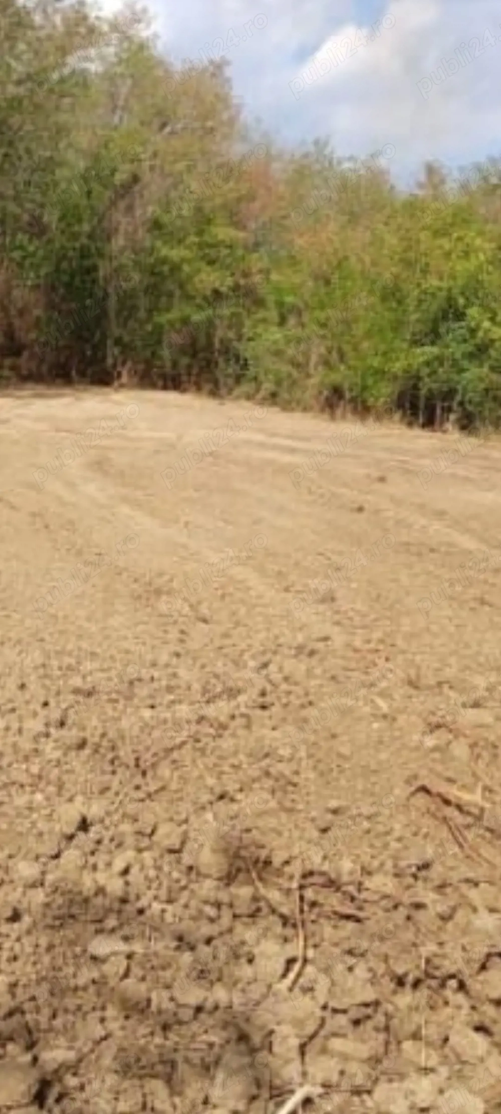 Teren intravilan, Ștefănești 