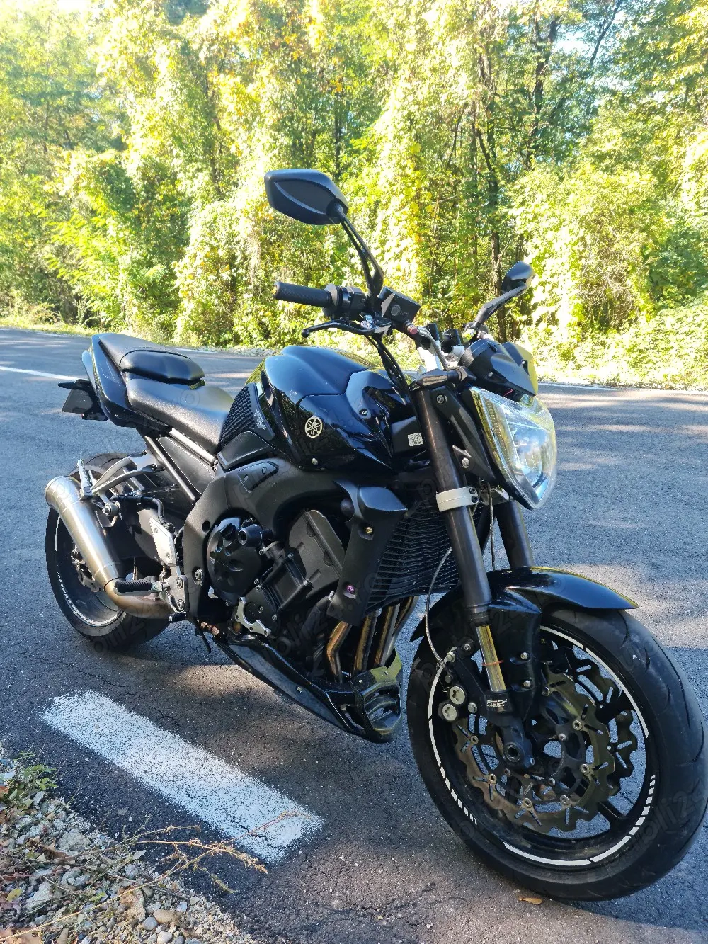 yamaha fz1 n 