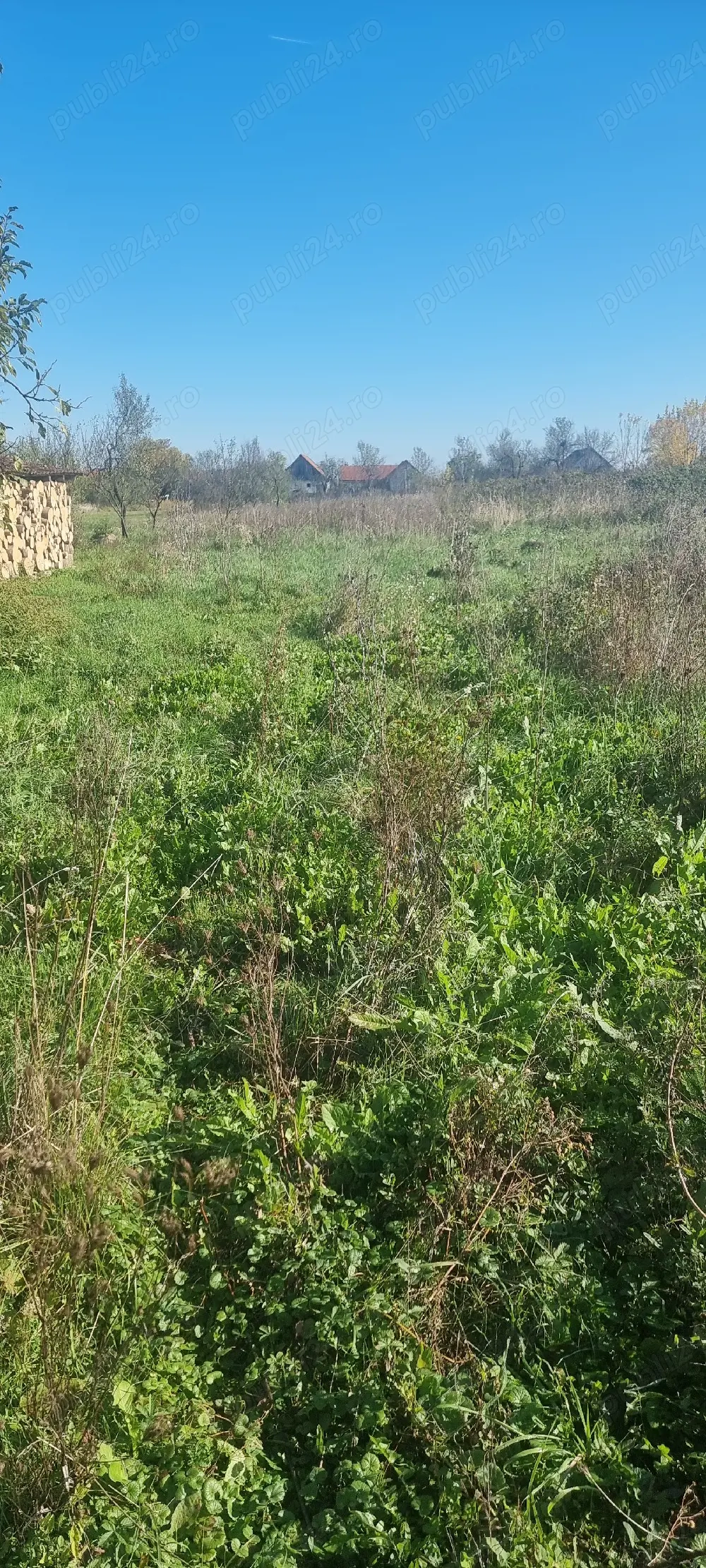 Teren intravilan in Susani