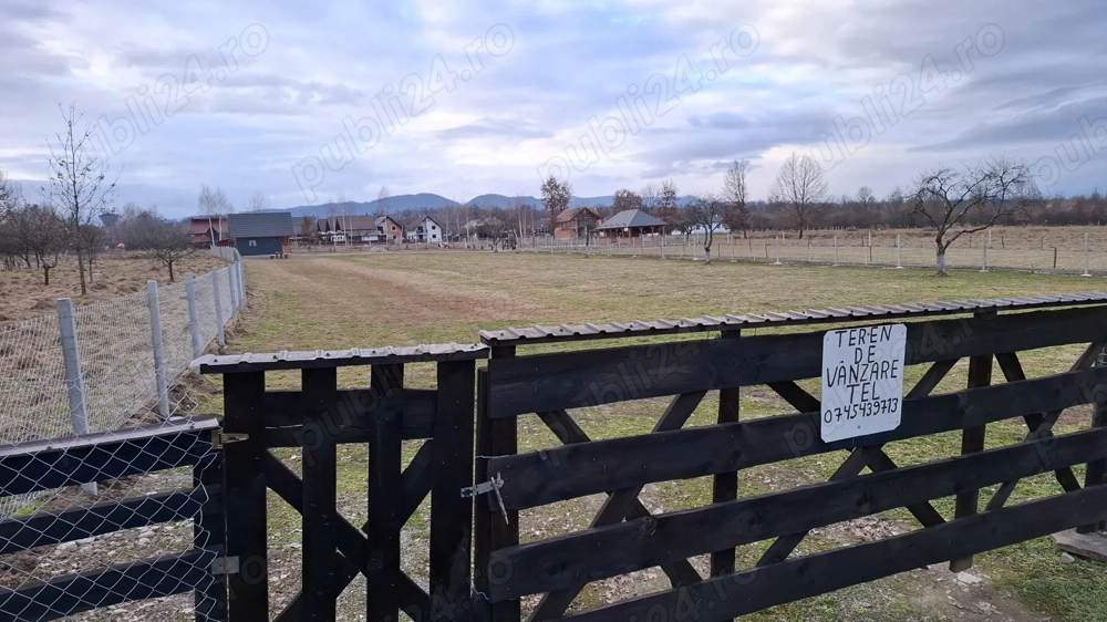 Teren Vanzare 