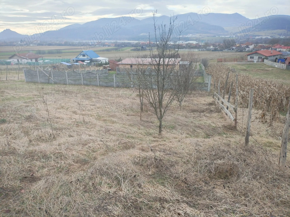 Teren intravant de vanzare