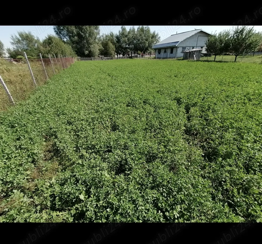 Teren de vânzare - 10 ari Costâna, Suceava