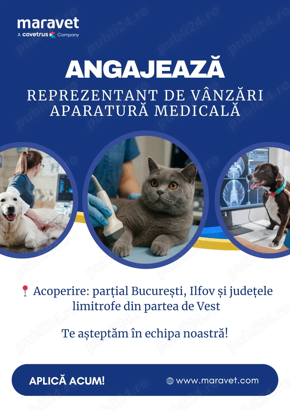Reprezentant de Vânzări   Aparatură Medicală Veterinară