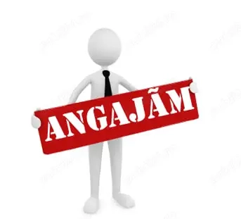 Angajez sofer pe prelata intern RO