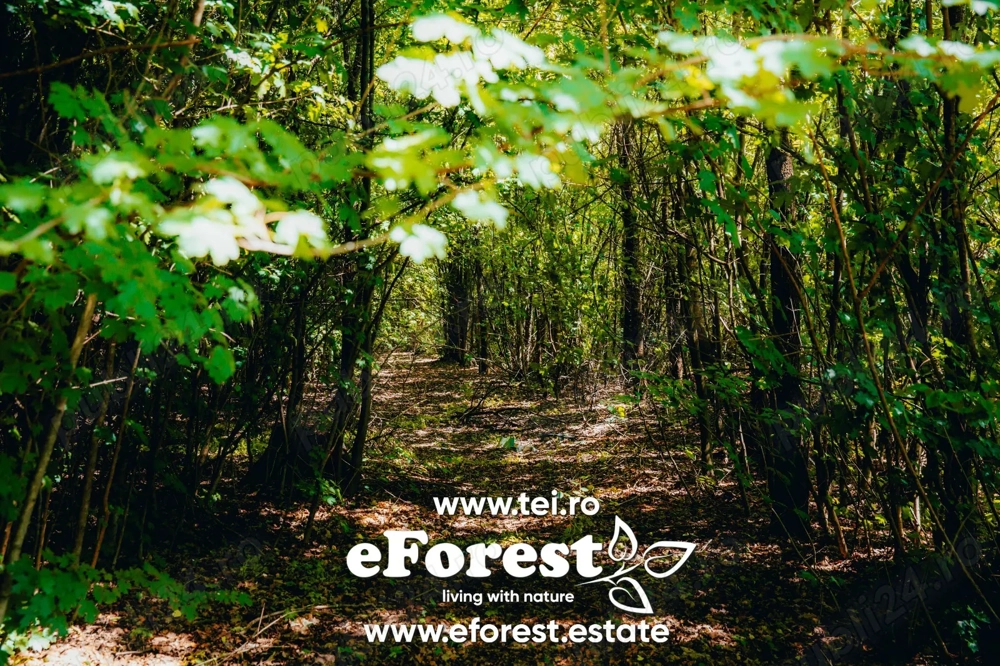 Profită acum de oferta de Paște! Teren aproape de natură și București, acces din DN1A, eForest