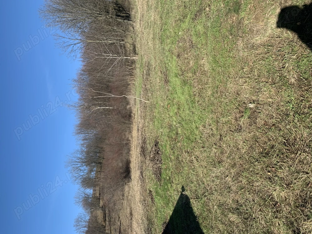 Teren intravilan 7200 m2  , parcelabil , strada Pădurii , zona Oncea 