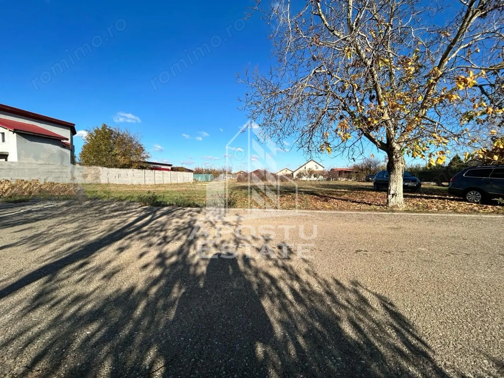 Parcela 1000 mp, de vanzare,  case noi, Peciu Nou, Jud. Timis
