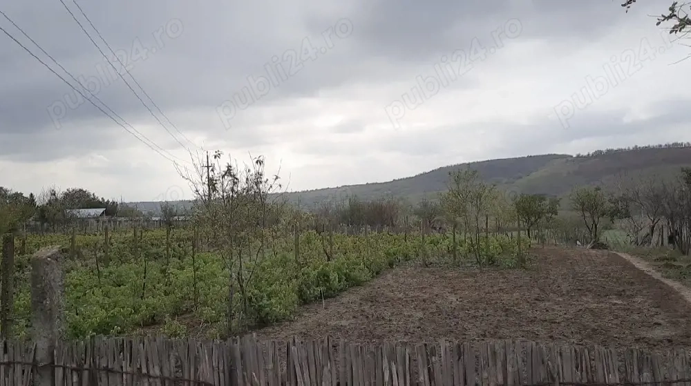 teren loc casă 