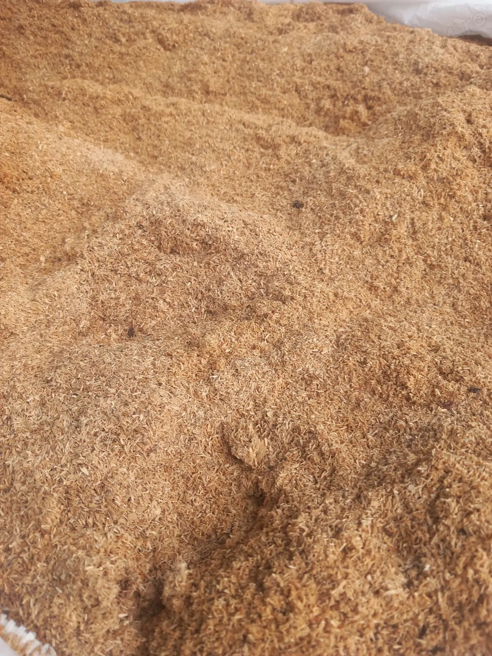 Oferta rumegus la big bag 