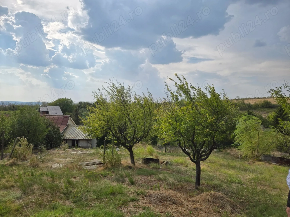 Teren 750mp Carcea, utilitati la poarta