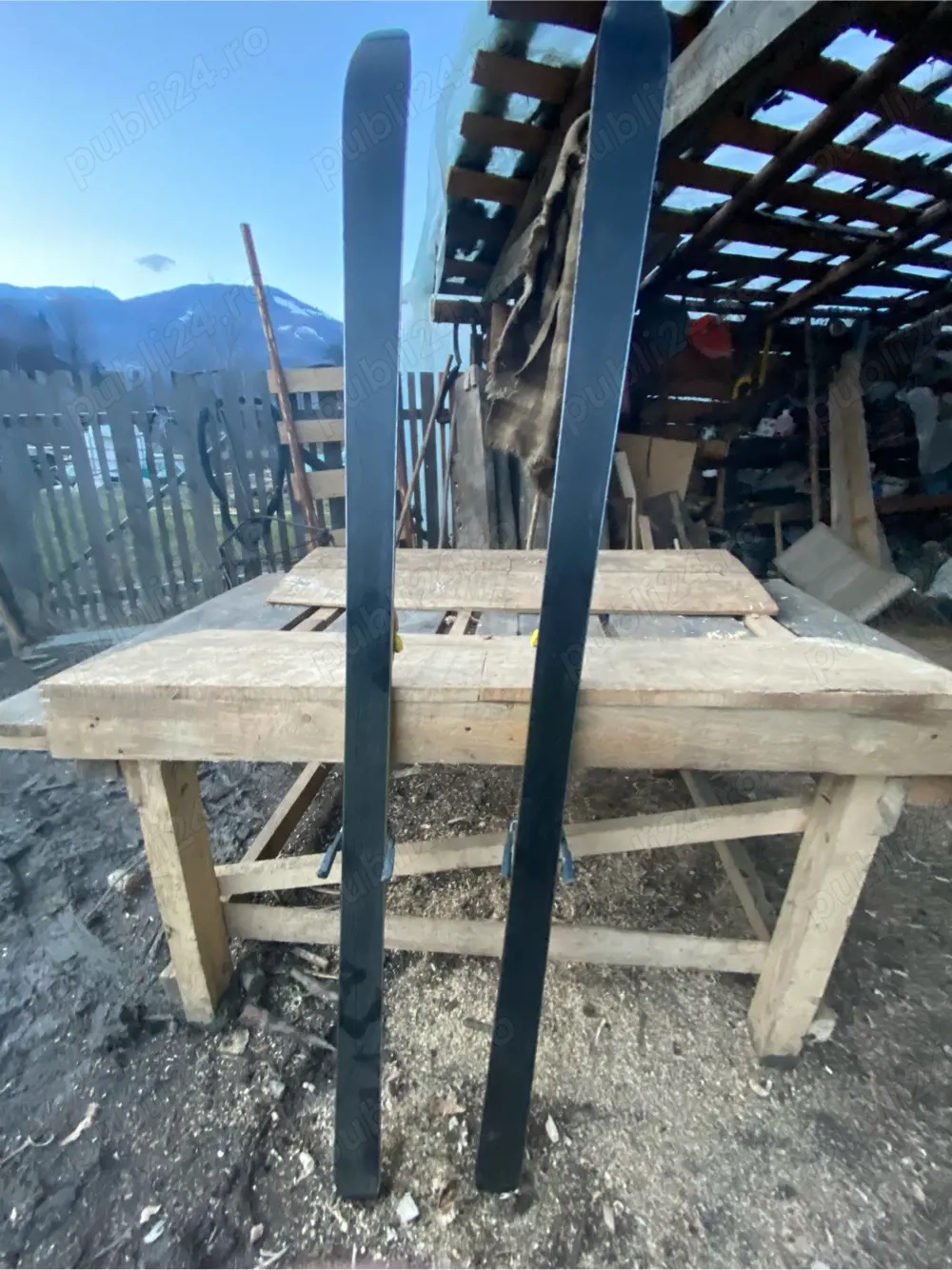 vand o pereche de schiuri