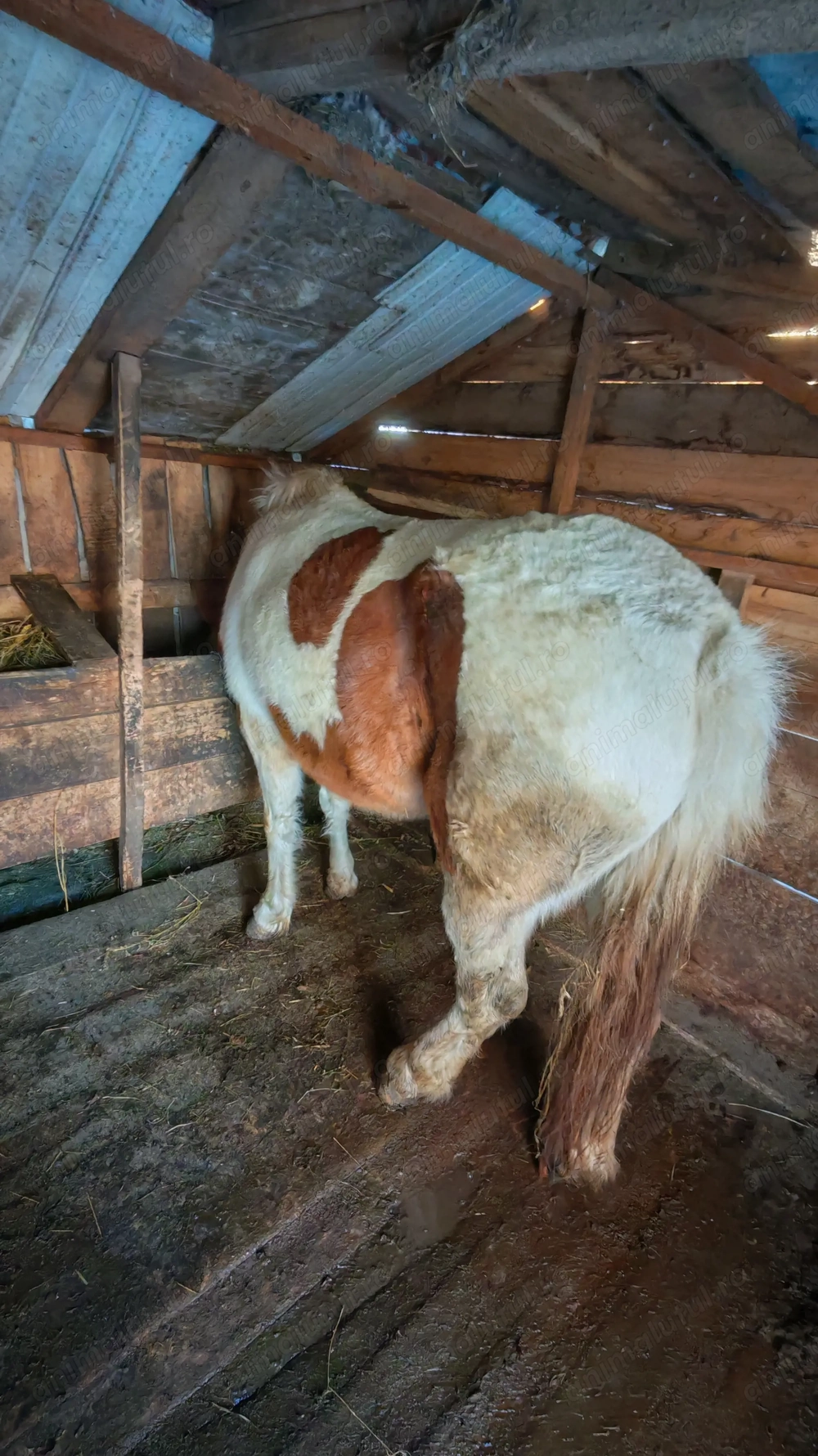 D e   v â  n z a r e