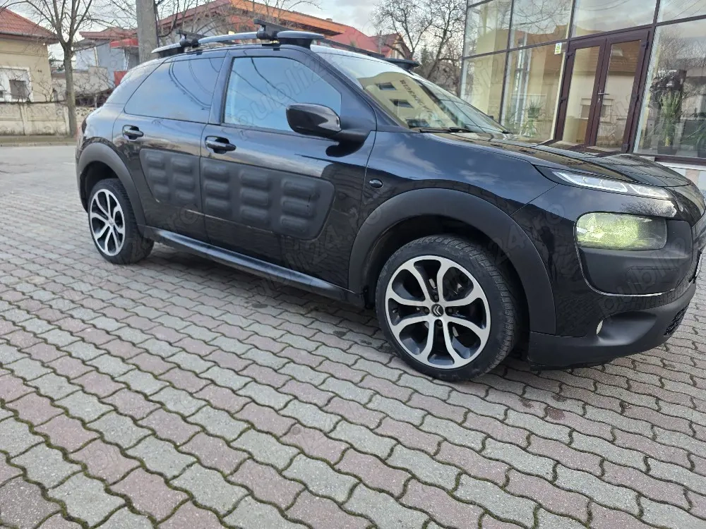 Vând sau schimb  Cactus,2015