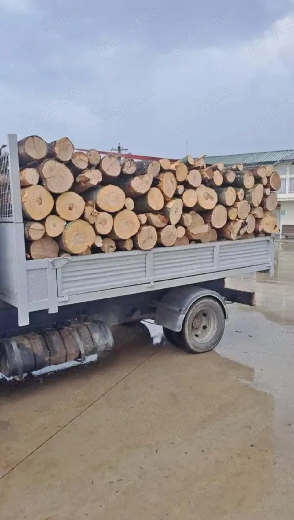 vand lemne de foc esenta tare carpen fag stejar