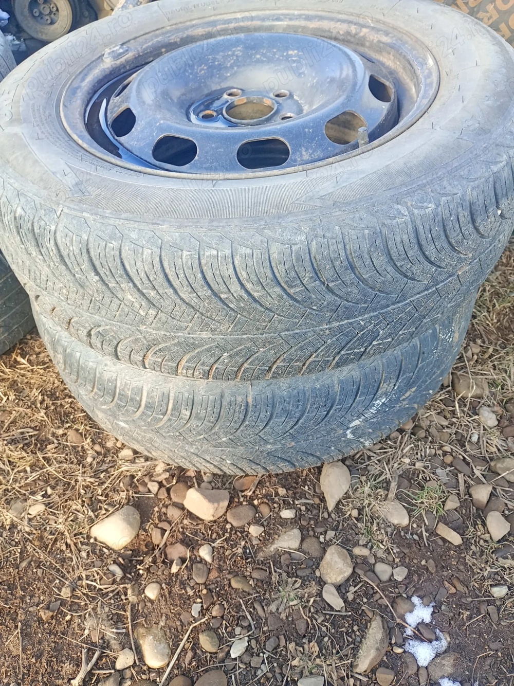 Dezmembrez wolzvagan 