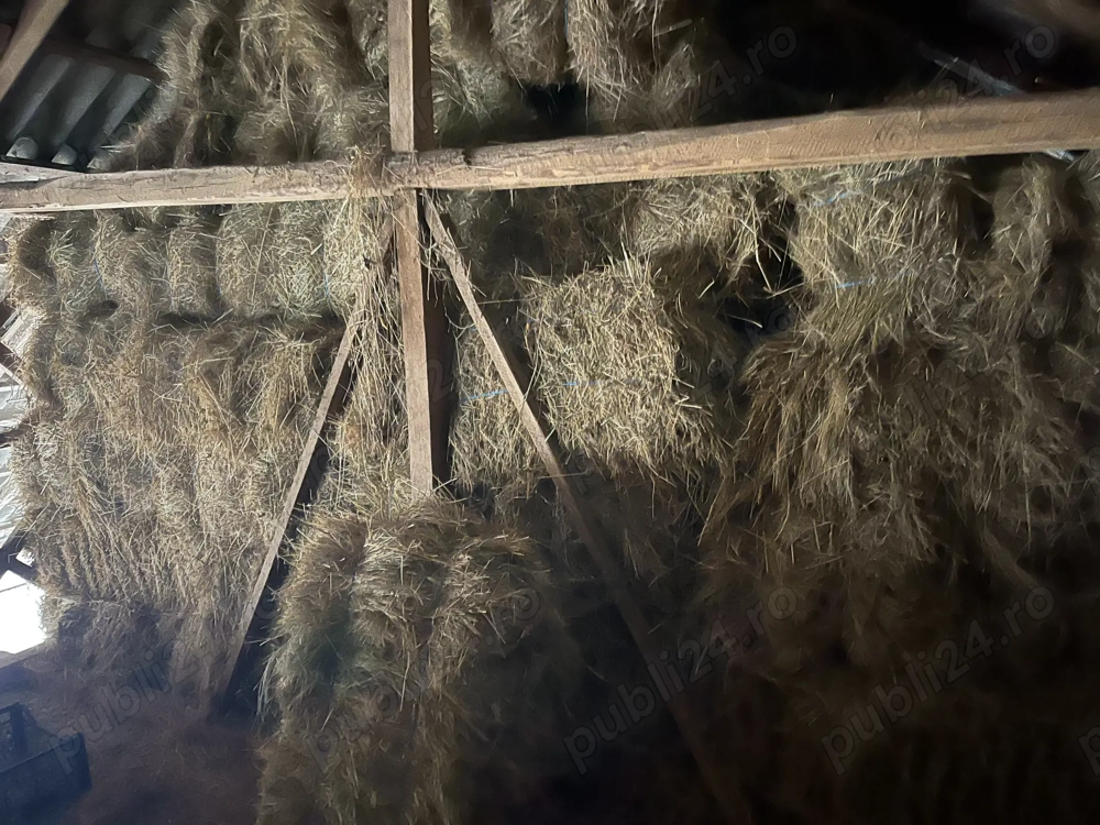 Baloți dreptunghiulari de vanzare