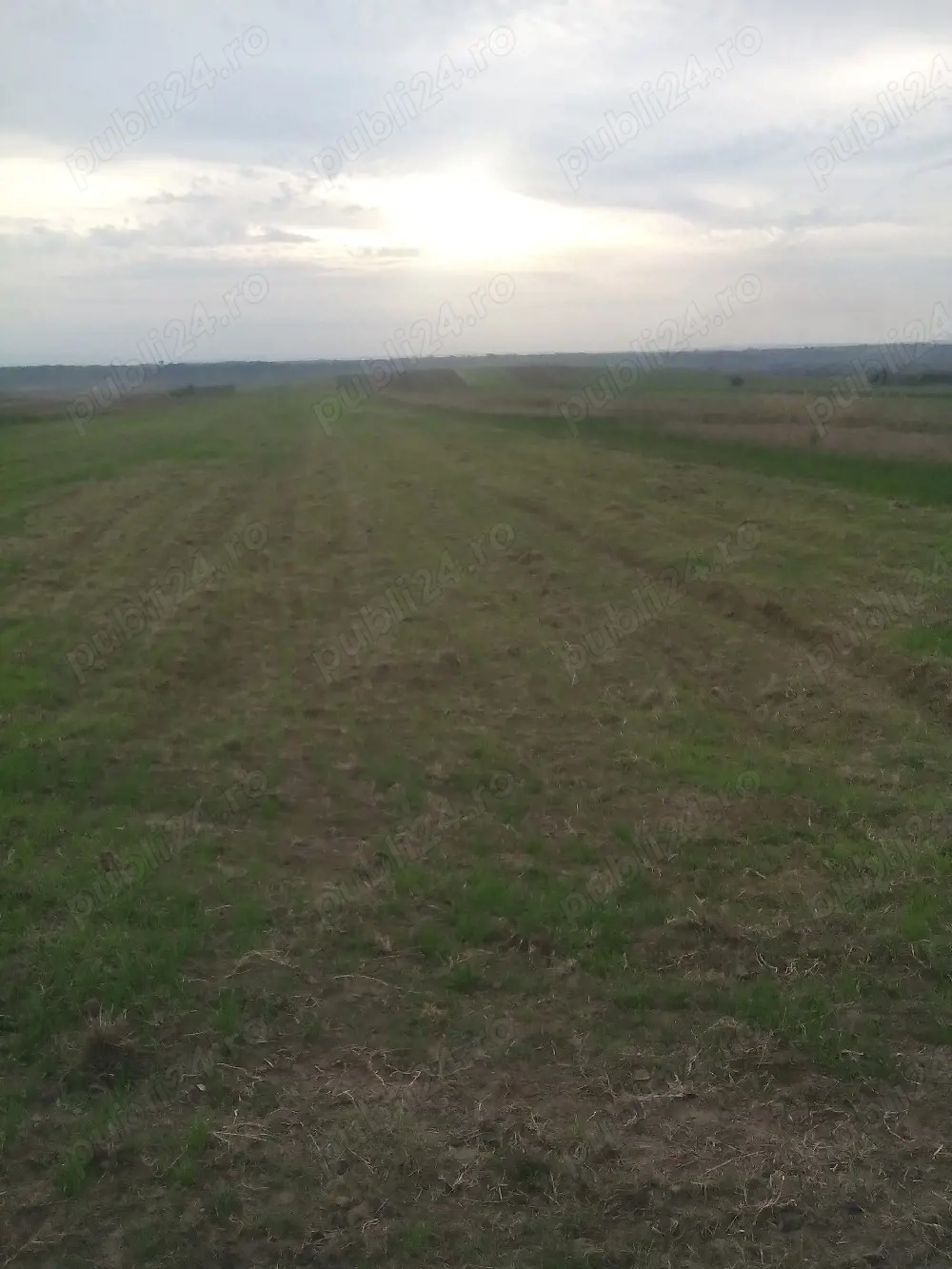 Schimb cu Tractor vand Oprișor Teren 1,7 Ha 